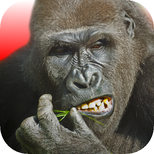 Flying Gorillaのゲームアイコン